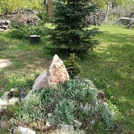 Margó